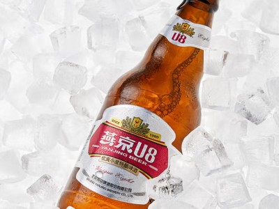 燕京啤酒 U8小度酒500ml*12瓶 整箱